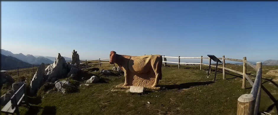 LOS MACHUCOS la sculpture de la VACA de PASIEGA
